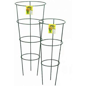 Conical Plant Support Ring - 2 Sizes Available