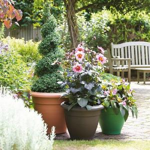 Stewart Garden Palladian Planter 30cm (Various Colours)