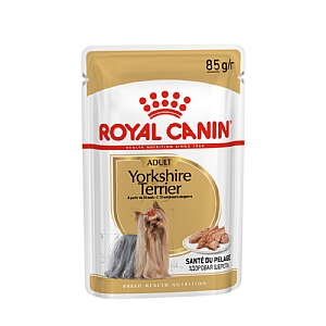 Royal Canin Breed Health Nutrition Yorkshire Terrier Wet Dog Food