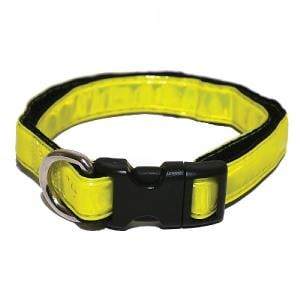 Rosewood High Visibility Dog Collar