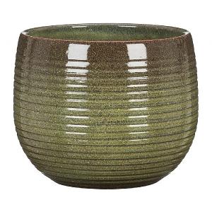 Scheurich Wild Jungle Pot Cover - Various Sizes