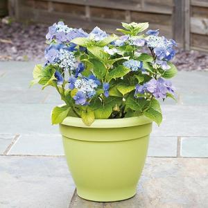 Stewart Garden Essentials Planter 39cm (Various Colours)