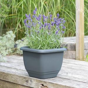 Stewart Garden Square Patio Planter 30cm (Various Colours)