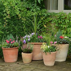 Woodlodge Sorrel Terracotta Pot (Various Sizes)
