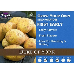 Duke of York (First Early) Seed Potatoes