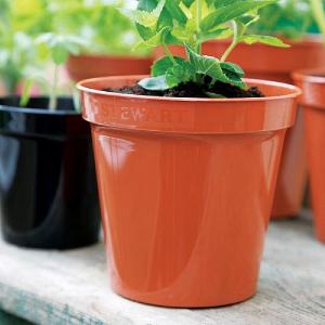 Terracotta Premium Flower Pot - Various Sizes