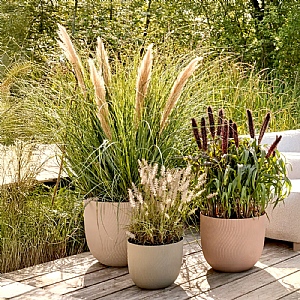 Elho Sereh Round Planter - Various Colours (30cm)