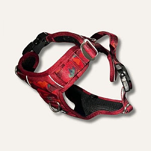 Twiggy Tags Alpenglow Adventure Harness (Various Sizes)