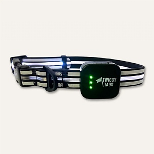 Twiggy Tags TrekBright Light-Up Collar (Various Sizes)