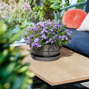 Elho Vibia Campana 27cm Bowl Planter (Various Colours)
