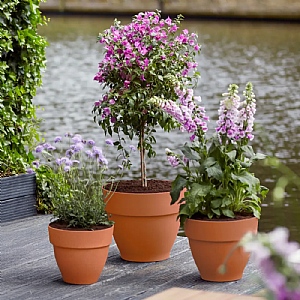 Elho Vibia Campana Round  Planter 40cm (Various Colours)