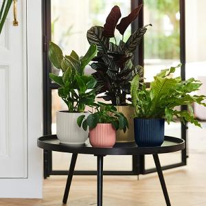 Elho Vibes Fold Round Planter 18cm (Various Colours)