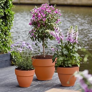 Elho Vibia Campana Round Planter 30cm (Various Colours)