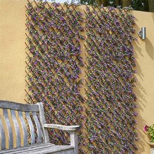 Smart Garden Vivid Violet Trellis (Various Sizes)