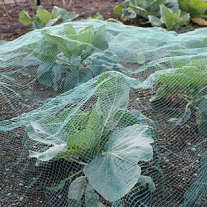 Webbs Soft Butterfly Netting