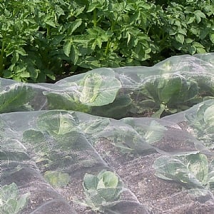 Webbs Insect Netting
