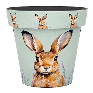 Zest Pot Hare (Various Sizes)