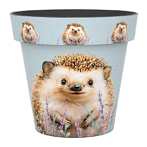 Zest Pot Hedgehog (Various Sizes)