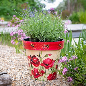Zest Pot Poppies & Bees (Various Sizes)