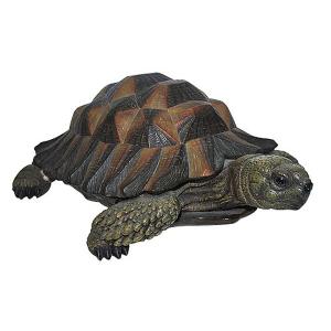 Natures Friends Tortoise - 2 Sizes Available