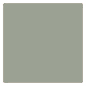 THYME GREEN