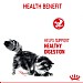 Royal Canin Feline Care Nutrition Digestive Care Dry Food - Adult (2kg)
