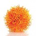 biOrb Orange Colour Ball