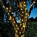 Smart Solar Firefly Warm White 100 LED Solar String Lights