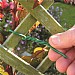 Garland Green Cushioned Twist Tie - 3mm x 10m
