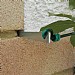 Garland Vine Eyes - 4 Pack