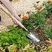Kent & Stowe Stainless Steel Border Hand Trowel