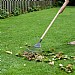 Kent & Stowe Carbon Steel Long Handled Lawn & Leaf Rake