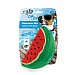 All For Paws Chill Out Watermelon Slice