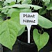 Garland White Solid Tee Labels (Pack of 10)