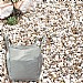 Tuscan Glow Bulk Bag