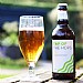 Top of the Hops 500ml (4.6% ABV)