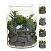 Artificial Plant Terrarium 16cm (Assorted Designs)
