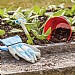 Briers Junior Riggers Gloves - 8-12yrs