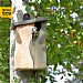 Simon King Curved Cavity Nest Box