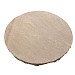Natural Stepping Stone 290mm Autumn