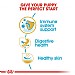 Royal Canin Breed Health Nutrition French Bulldog Dry Dog Food - Puppy (3kg)