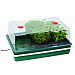 Garland XL High Dome Electric Propagator