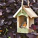 Wildlife World Bird Barn Bird Feeder
