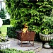 Ivyline Outdoor Norfolk Firebowl Rust