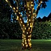 Eureka 25 Warm White LED Firefly String Lights (Battery Powered)