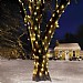 Eureka 25 Warm White LED Firefly String Lights (Battery Powered)