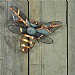 Woodlodge Bumble Bee Garden Wall Art