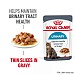 Royal Canin Feline Care Nutrition Urinary Care Wet Food (85g)
