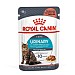 Royal Canin Feline Care Nutrition Urinary Care Wet Food (85g)
