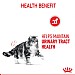 Royal Canin Feline Care Nutrition Urinary Care Wet Food (85g)